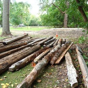 Cabin Construction