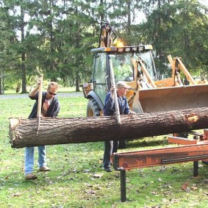 Cabin Construction