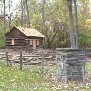 Cabin Construction